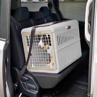 Show full view: Richell Foldable Dog & Cat Carrier, White & Beige, Medium slide 5 of 8