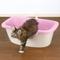 Show in main carousel: Richell Paw Trax Adjustable Entry Cat Litter Box, Pastel Pink slide 8 of 10