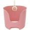 Show in main carousel: Richell PAW TRAX High Wall Cat Litter Box, Salmon Pink slide 2 of 4