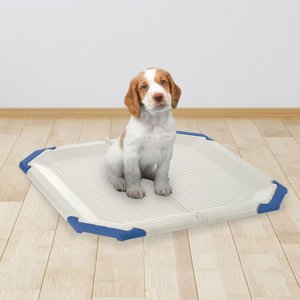 Richell PAW TRAX Mesh Dog Potty Pad Holder, Blue