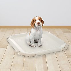 Richell PAW TRAX Mesh Dog Potty Pad Holder, Ivory