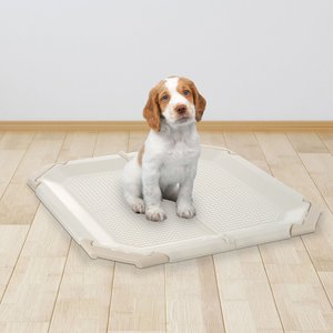 Richell PAW TRAX Mesh Dog Potty Pad Holder, Ivory
