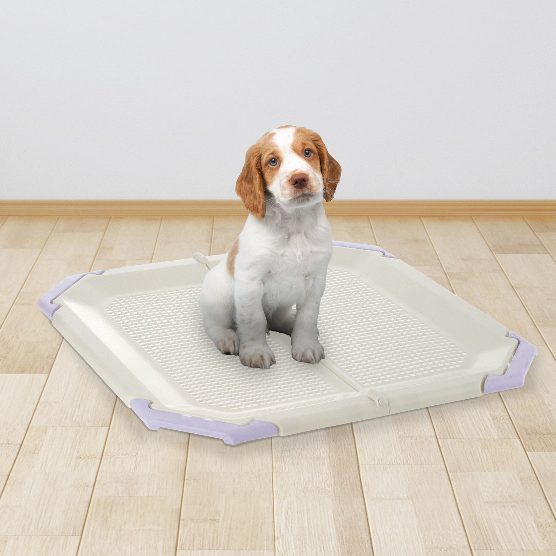 Richell PAW TRAX Mesh Dog Potty Pad Holder, Pink, Light Beige & Lavender