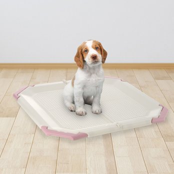 Best Dog Potty Pad Holders: Low Prices (Free Shipping) Chewy - Main Image