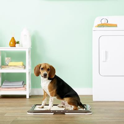 Show full view: Richell Paw Trax Mesh Training Tray, Brown slide 3 of 7