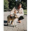 Show in main carousel: RIFRUF Caesar 1 Dog Boot, Birch, 0 slide 5 of 8