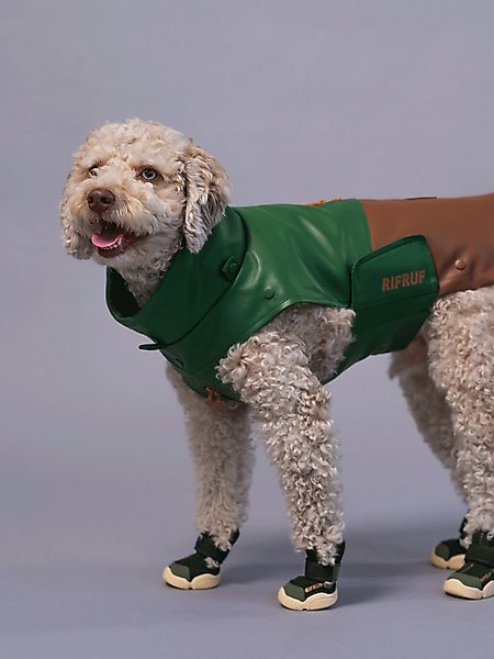 Show full view: RIFRUF Caesar 1 Dog Boot, Birch, 0 slide 3 of 8