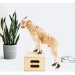 Show in main carousel: RIFRUF Caesar 1 Dog Boot, Birch, 0 slide 6 of 8