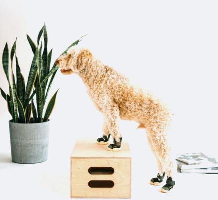 Show full view: RIFRUF Caesar 1 Dog Boot, Birch, 0 slide 6 of 8