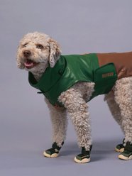 RIFRUF Caesar 1 Dog Boot, Birch, 2 slide 2 of 7