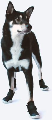 Show full view: RIFRUF Caesar 1 Dog Boot, Black, 6 slide 8 of 11