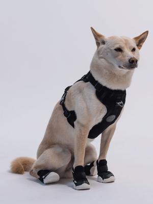 Show full view: RIFRUF Caesar 1 Dog Boot, Black, 6 slide 5 of 11