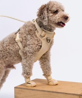 Show full view: RIFRUF Caesar 1 Dog Boot, Bone, 2 slide 3 of 10