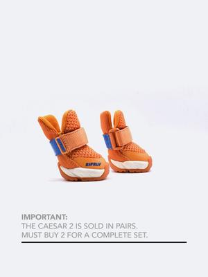 Show full view: RIFRUF Caesar 2 Dog Boots, Apricot, 3 slide 1 of 10