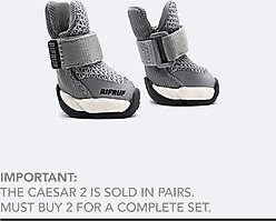 RIFRUF Caesar 2 Dog Boots, Griffin, 2