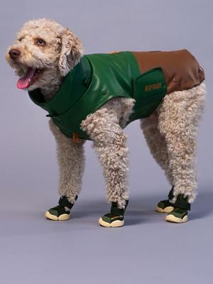 Show full view: RIFRUF Stormhunter Dog Raincoat, Beef & Broccoli, 8 slide 6 of 10
