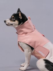 RIFRUF Stormhunter Dog Raincoat, Sakura, size 14FB slide 2 of 7