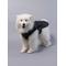 Show in main carousel: RIFRUF Stormhunter Dog Raincoat, Truffle, 14FB slide 5 of 10