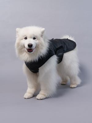 Show full view: RIFRUF Stormhunter Dog Raincoat, Truffle, 14FB slide 5 of 10
