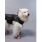 Show in main carousel: RIFRUF Stormhunter Dog Raincoat, Truffle, 14FB slide 6 of 10