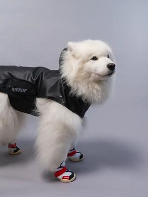 Show full view: RIFRUF Stormhunter Dog Raincoat, Truffle, 14FB slide 6 of 10