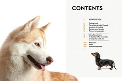 Right Dog for You slide 2 of 7