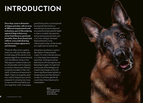 Show full view: Right Dog for You slide 3 of 7