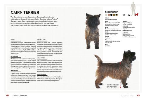 Show full view: Right Dog for You slide 4 of 7