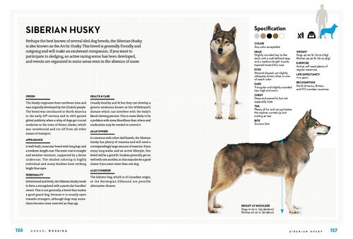 Show full view: Right Dog for You slide 6 of 7