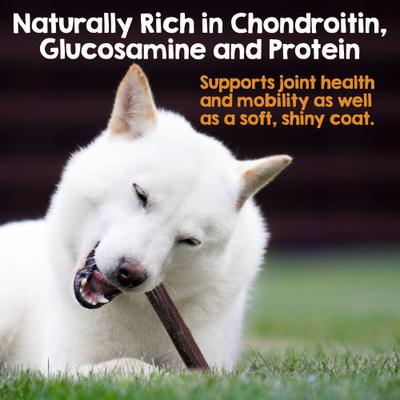 Show full view: Riley's Beef Collagen Sticks 12-inch Natural Dog Chew Treats, 10 count slide 4 of 8