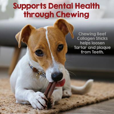Show full view: Riley's Beef Collagen Sticks 6-inch Natural Dog Chew Treats, 10 count slide 6 of 8