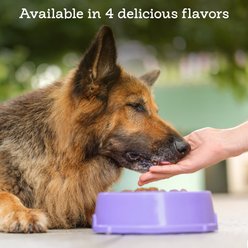 Riley's Delicious Peanut Butter & Probiotic Pill Wrap Dog Treat, 4.2-oz tub slide 2 of 7