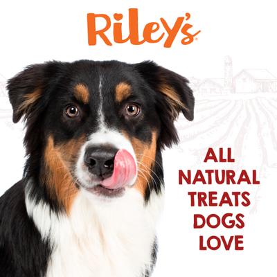 Show full view: Riley's Icelandic Cod Skin Sticks 10-inch Natural Dog Chew Treats, 2 count slide 8 of 9
