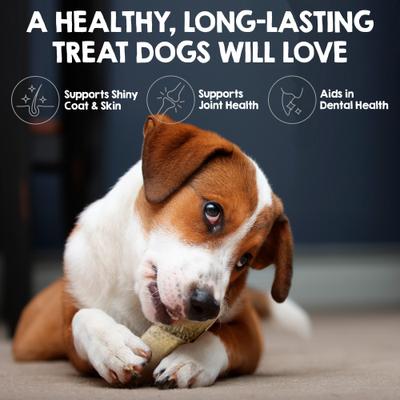 Show full view: Riley's Icelandic Cod Skin Sticks 5-inch Natural Dog Chew Treats, 3 count slide 4 of 9