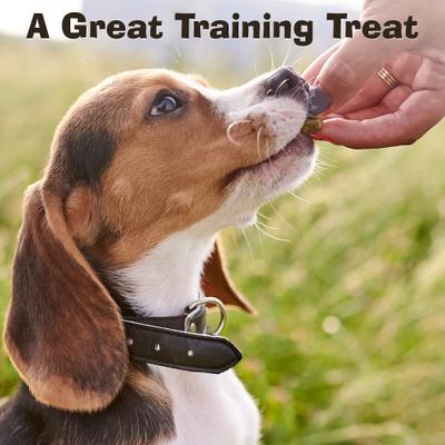 Show full view: Riley's Jerky Jibbs Chicken & Rice Recipe Dog Treats, 5-oz pouch slide 5 of 6