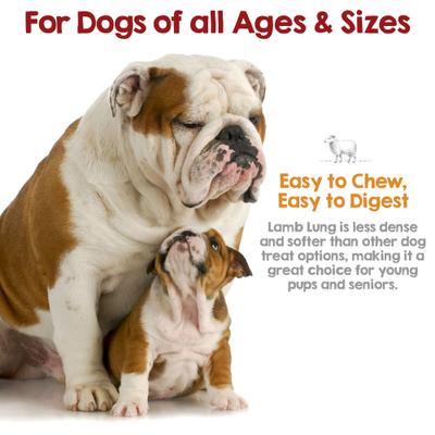 Show full view: Riley's Lamb Lung Dehydrated Dog Treats, 6-oz bag slide 6 of 9