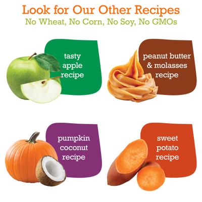 Show full view: Riley's Pumpkin & Coconut Large Bone Dog Treats, 5-oz bag slide 5 of 10