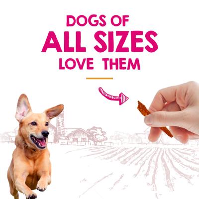 Show full view: Riley's Slims Dried Sweet Potato with Turmeric Dog Treats, 7.5-oz jar slide 5 of 6