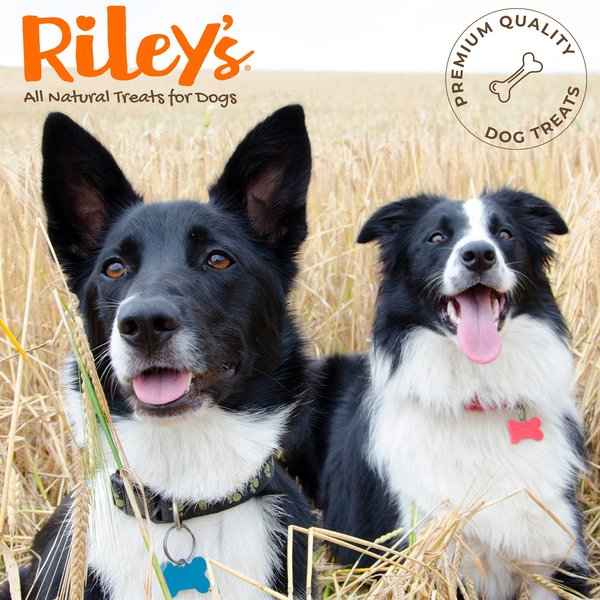 Show full view: Riley's Turkey Tendons Natural Dog Chew Treats, 4-oz bag slide 8 of 8