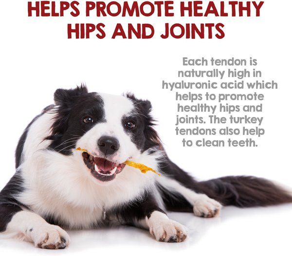 Show full view: Riley's Turkey Tendons Natural Dog Chew Treats, 4-oz bag slide 5 of 8