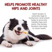 Show in main carousel: Riley's Turkey Tendons Natural Dog Chew Treats, 4-oz bag slide 5 of 8