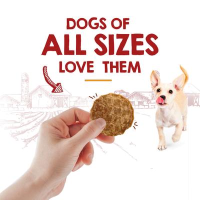 Show full view: Riley's Waffles Chicken Chips Dehydrated Dog Treats, 5.5-oz bag slide 5 of 7