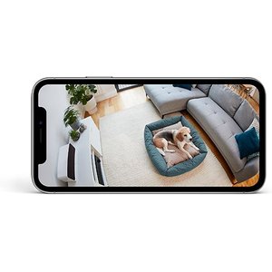 Ring 2nd Generation Indoor Camera Pet Tag Bundle, White