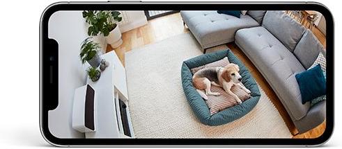 Show full view: Ring Indoor Cam Pet Camera, Black slide 4 of 5