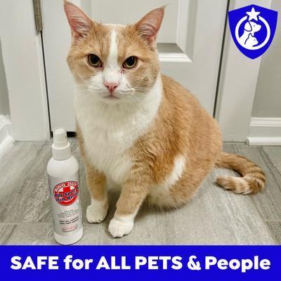 Show full view: Ring Out Hot Spot & Itch Relief Spray for Dogs & Cats, 8-fl oz bottle slide 7 of 8