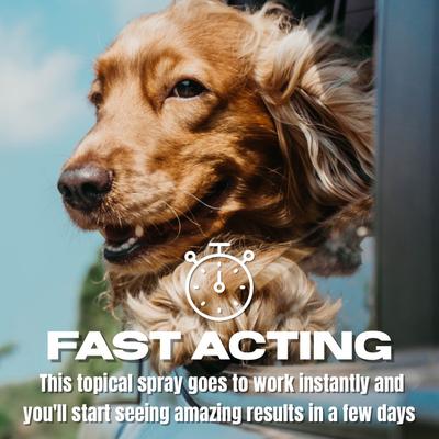 Show full view: Ring Out Hot Spot & Itch Relief Spray for Dogs & Cats, 8-fl oz bottle slide 6 of 8