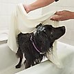 Show in main carousel: Rinse Ace Microfiber Pet Towel slide 5 of 7