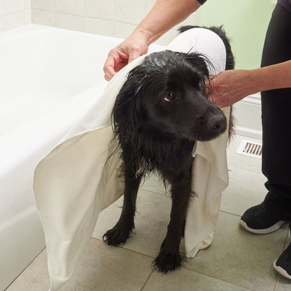 Show full view: Rinse Ace Microfiber Pet Towel slide 6 of 7