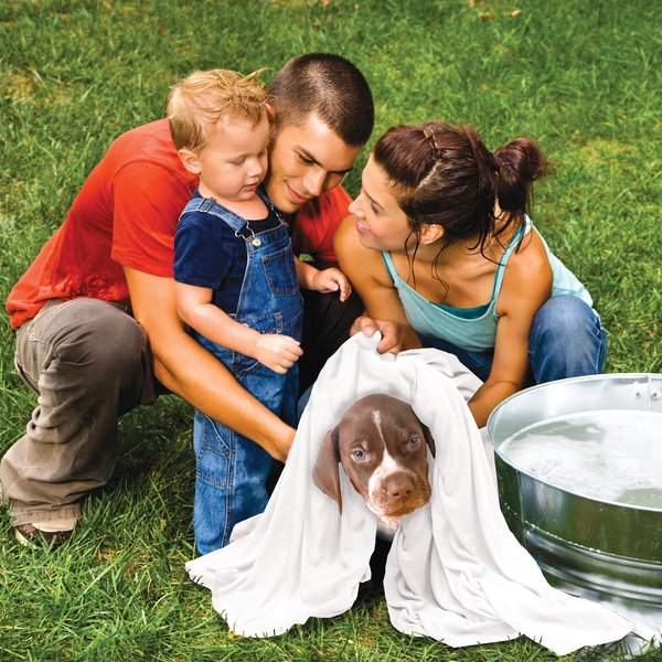 Show full view: Rinse Ace Microfiber Pet Towel slide 7 of 7