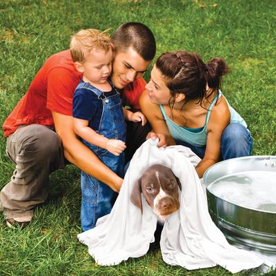 Show full view: Rinse Ace Microfiber Pet Towel slide 8 of 8